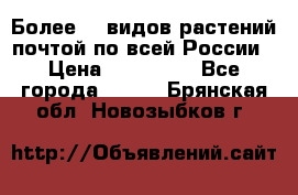 Более200 видов растений почтой по всей России › Цена ­ 100-500 - Все города  »    . Брянская обл.,Новозыбков г.